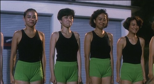 神勇飞虎霸王花,笑料加剧,看点增添