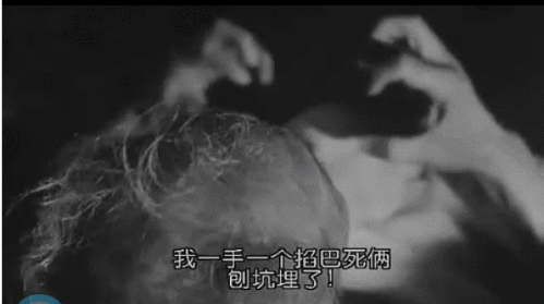 姜文的《鬼子来了》------动动小人书(连载……第三集) 姜小军 电影