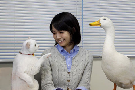 宫崎葵与大白鹅