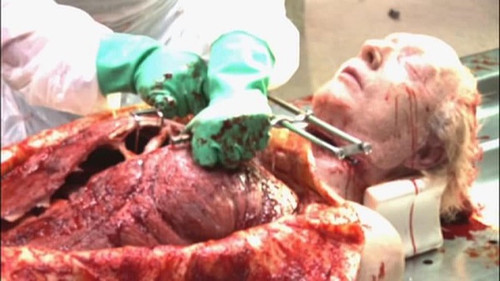 竖锯解剖图&nbsp