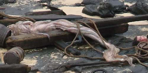 《加勒比海盗4:惊涛怪浪》(2011) 深海的魅力诱惑