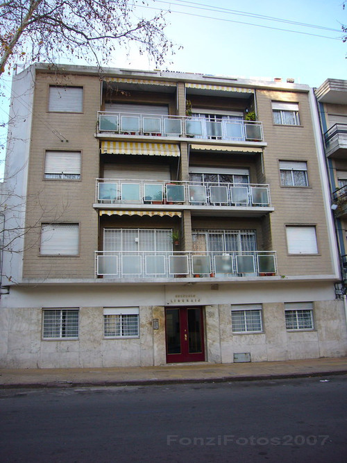 烈焰焚币: <wbr>绝望的爱，只能在死亡面前燃烧