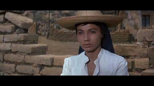 七侠荡寇志:纯属花痴