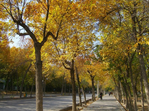 库尔勒市经济总量_库尔勒市第二中学图片(3)