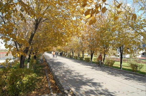 库尔勒市经济总量_库尔勒市第二中学图片(3)