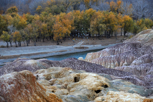 石河子gdp_石河子大学(2)