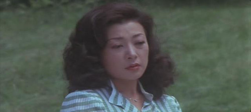 收藏到的可在网上下载的日本粉红电影