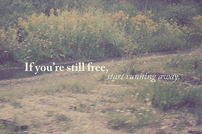 走吧 走吧 人总要学着自己长大