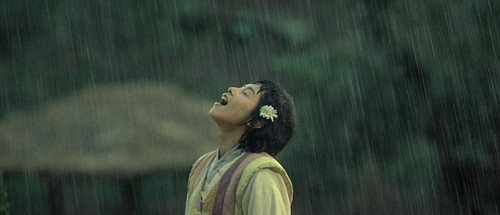 淋雨是疯妹的爱好