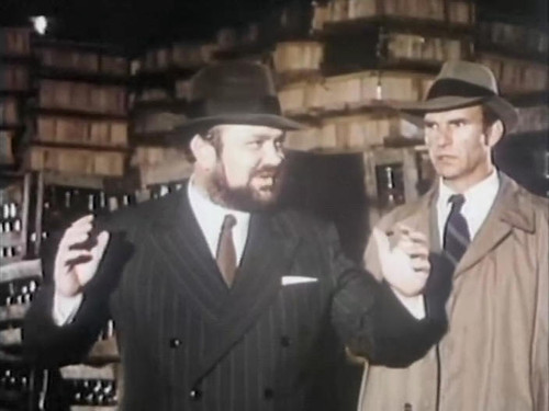 蓝色的多瑙河---回眸 罗马尼亚电影  - 狮虎独行的