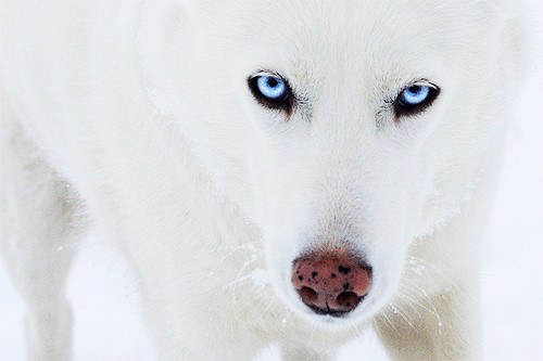 {直播室}第12期 创造亚当 电影