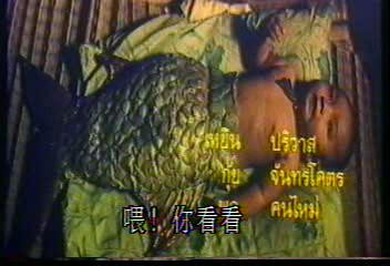 泰国绝版电影鲤鱼精