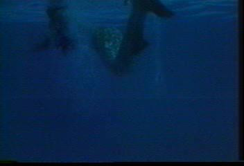 泰国绝版电影鲤鱼精