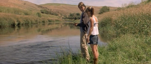 每晚一部冷门电影<7> - 《蒲公英》影评- Mtim