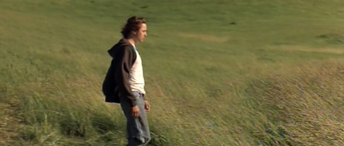 每晚一部冷门电影<7> - 《蒲公英》影评- Mtim