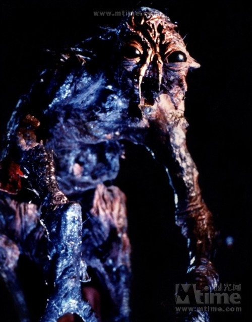 电影中的【怪物】~看的慎得慌~ 天堂电影小组