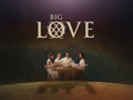 大爱Big Love(2006)