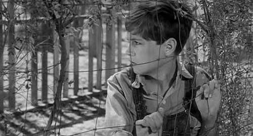 杀死一只知更鸟剧照39193|杀死一只知更鸟剧照