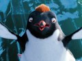 快乐的大脚2Happy Feet Two(2011)
