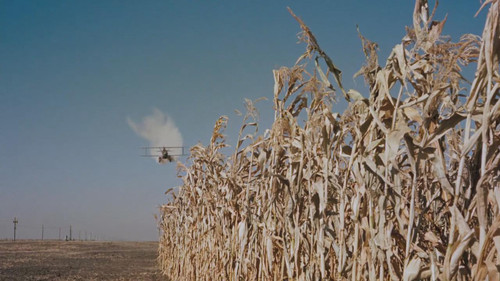 西北偏北 North by Northwest (1959)