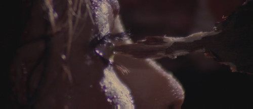 shengrenshipin_《生人回避》:活人回避!闲杂人