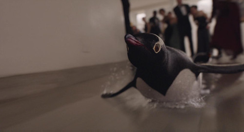 《波普先生的企鹅》:大叔老矣，小企鹅卖萌 孤独男女的集合广场 电影