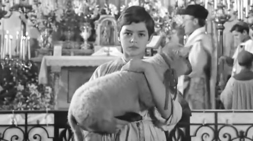 对电影《特殊的友情》的一段话影评