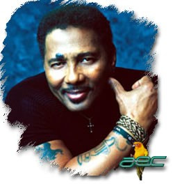 爱伦·奈维尔(aaron neville)阴柔的声音安抚孤独的心