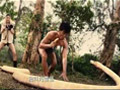 八星抱喜All's Well, Ends Well 2012(2012)