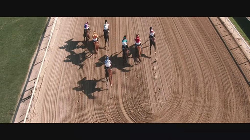 一代骄马 Secretariat (2010)