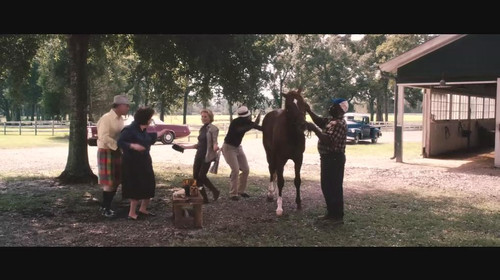 一代骄马 Secretariat (2010)