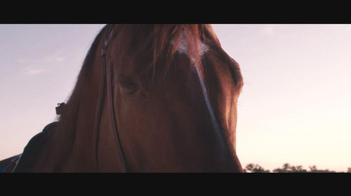 一代骄马 Secretariat (2010)