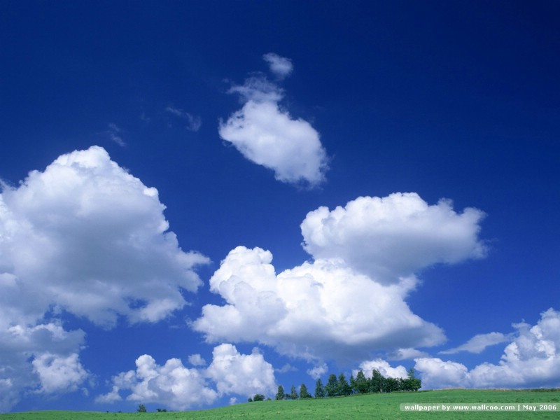 赵世平的诗歌：怀念我的父亲