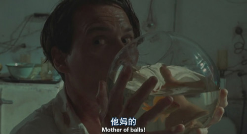 【请你莱姆酒起来】