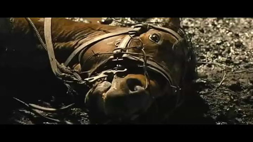 壹 战争类温情电影《战马》 天堂电影小组 电影