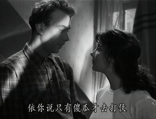 雁南飞诗意的镜头语言