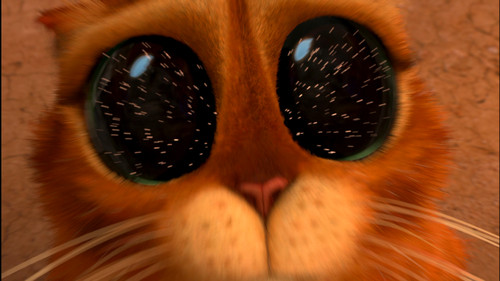 (蓝光风云)靴子猫外一章之斗萌<em>大战</em> – 《穿靴