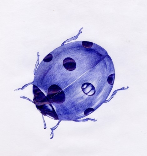 圆珠笔画图片大全_圆珠笔画图片下载