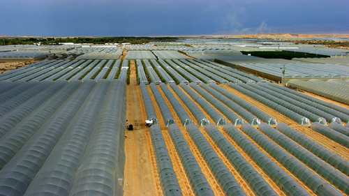 标准稠度用水量_每天人均用水量(3)