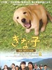 实习警犬物语/Kinako: Yume wo oikakeru inu(2010)