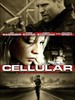一线声机/Cellular(2004)