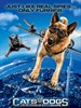 猫狗大战2/Cats & Dogs: The Revenge of Kitty Galore(2010)