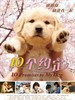 10个约定/10 Promises to my Dog(2008)