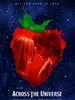纵横宇宙 Across the Universe(2007)
