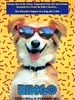 灵犬宾果
