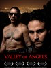 远离天使之城/Valley of Angels(2008)