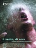 Vento, di sera, Il(2004)