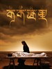 可可西里(2004)