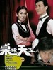 桌球天王(2009)