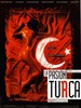 土耳其激情/Pasión turca, La
